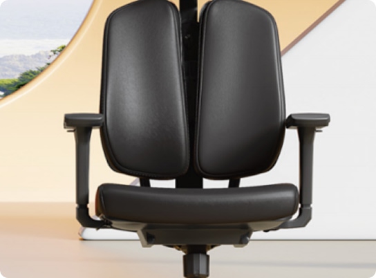 Leather Executive Office Chair