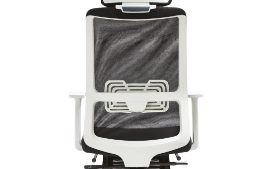 Advanced back frame and material technology