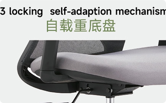 Professional sports mechanism